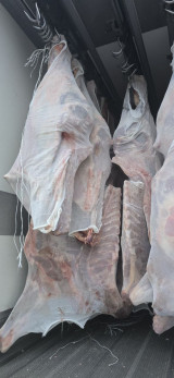 Белоруссия давл