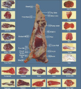 Лахим гўшт маҳс