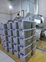 Бизда тоза хито