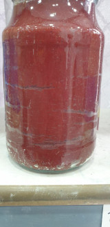 Олий навли таби