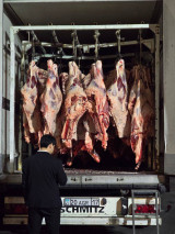 Ҳурматли тадбир