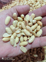 Ҳурматли тадбир