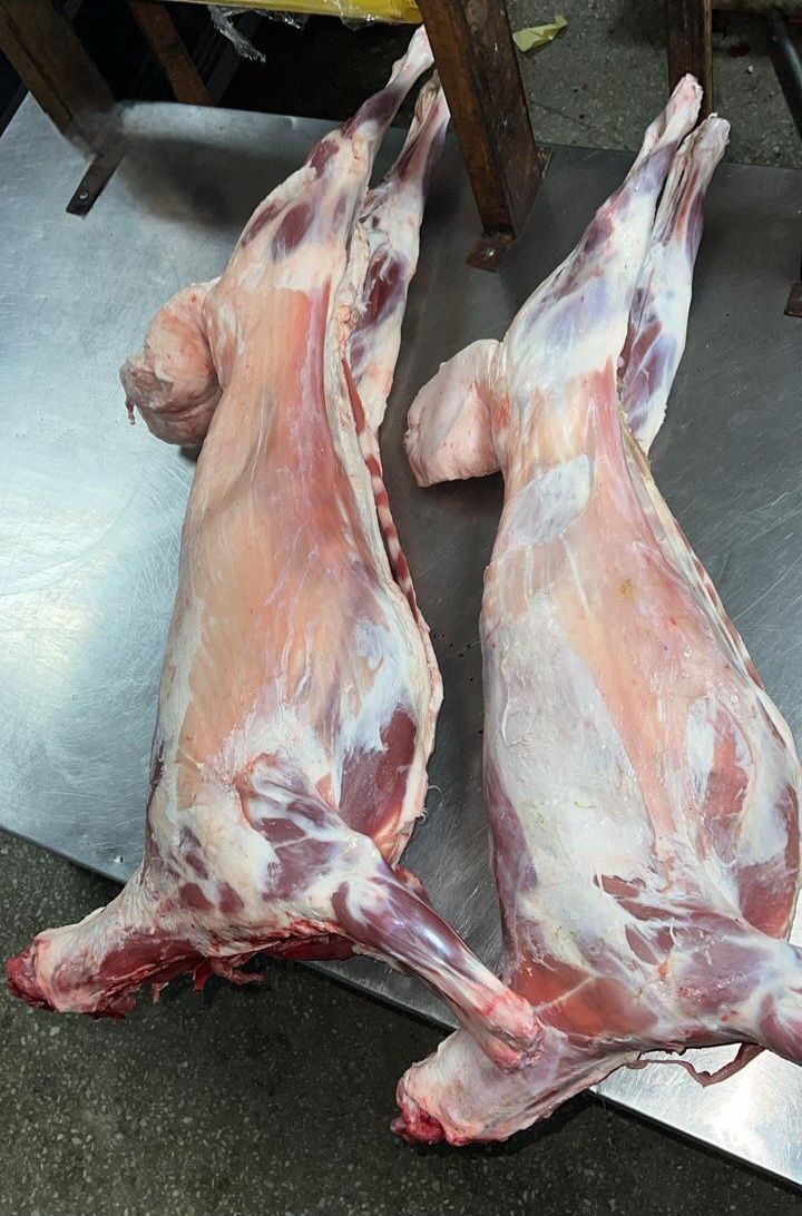 Монголиядан кел