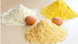 Яичный порошок 