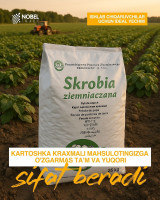 Картошка крахма