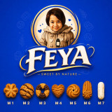 "FEYA GROUP COM